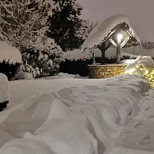 *** Otel Petri Almanya